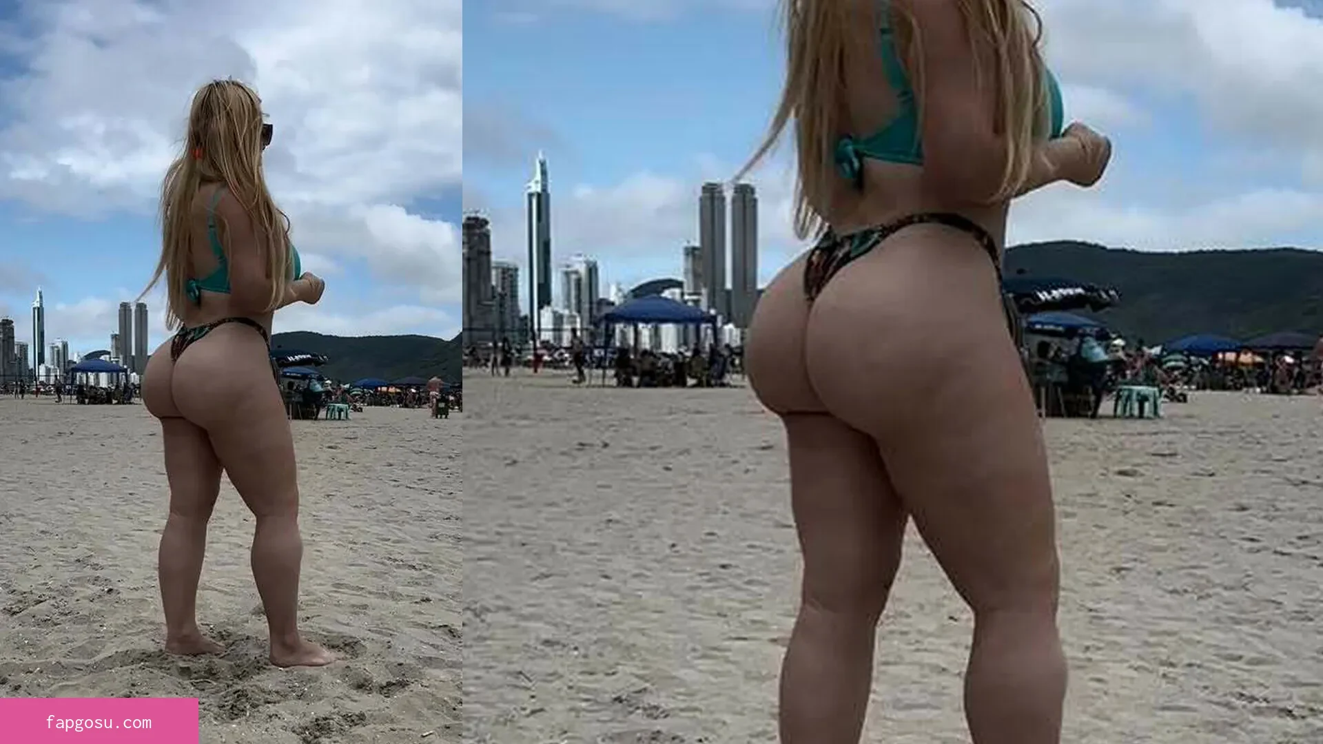 Aline Füchter Ouriques