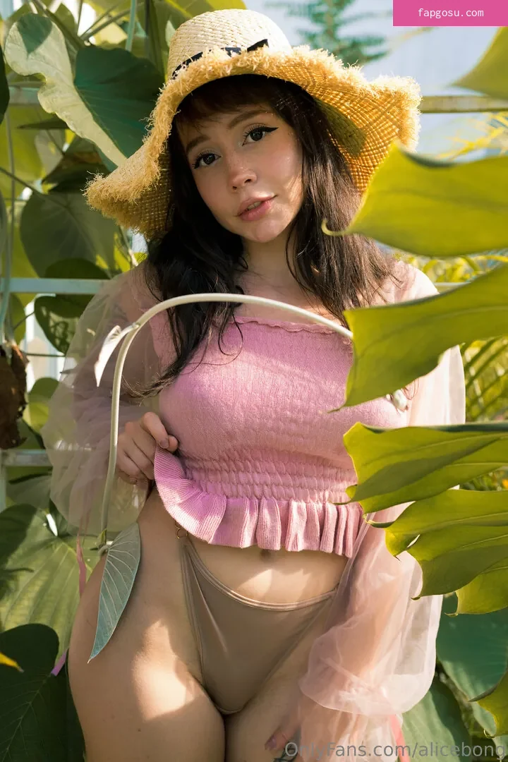 AliceBong