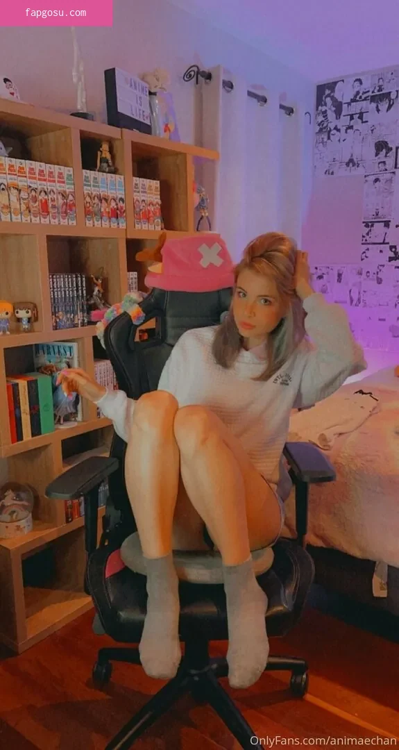 Animaechan