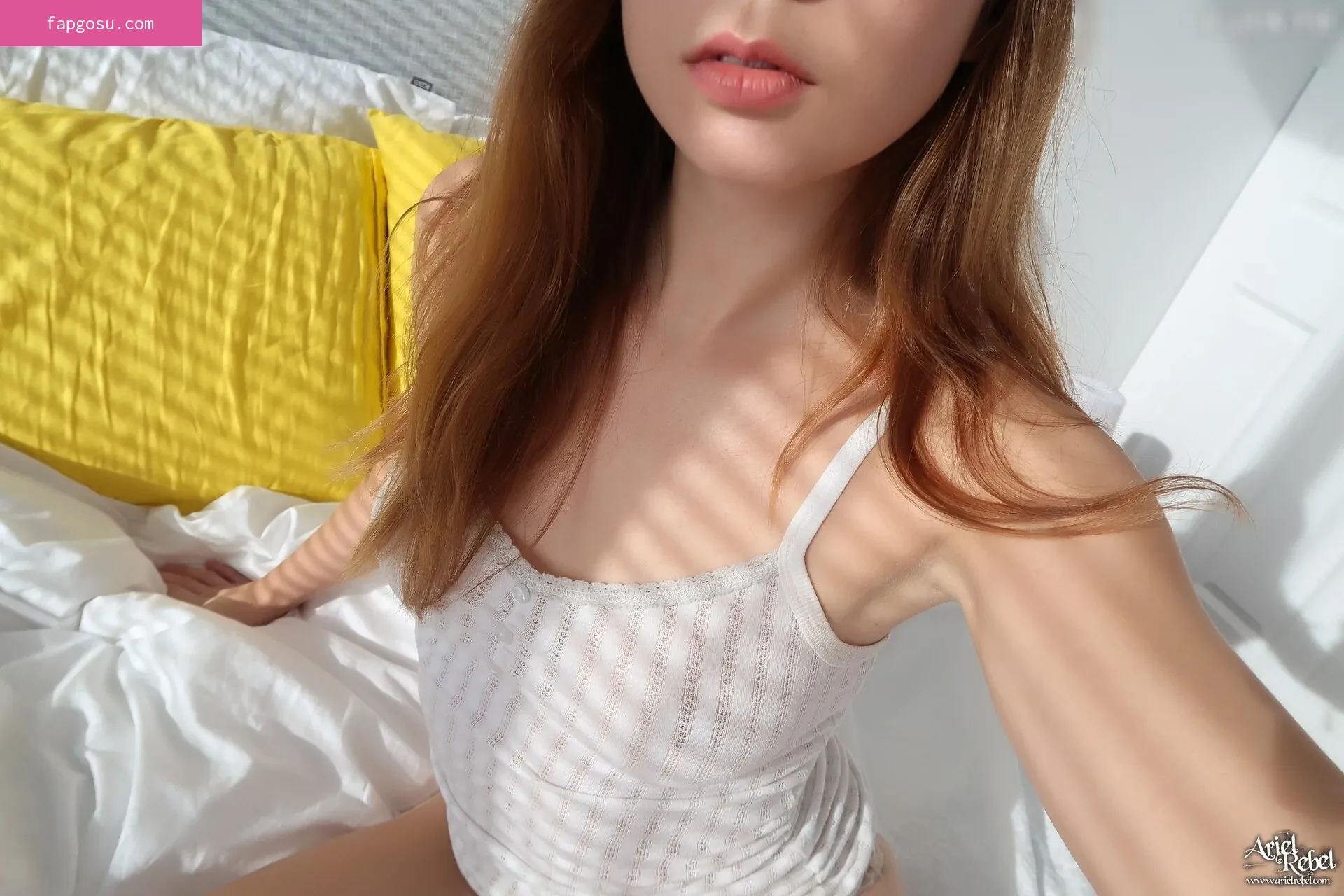 Ariel Rebel