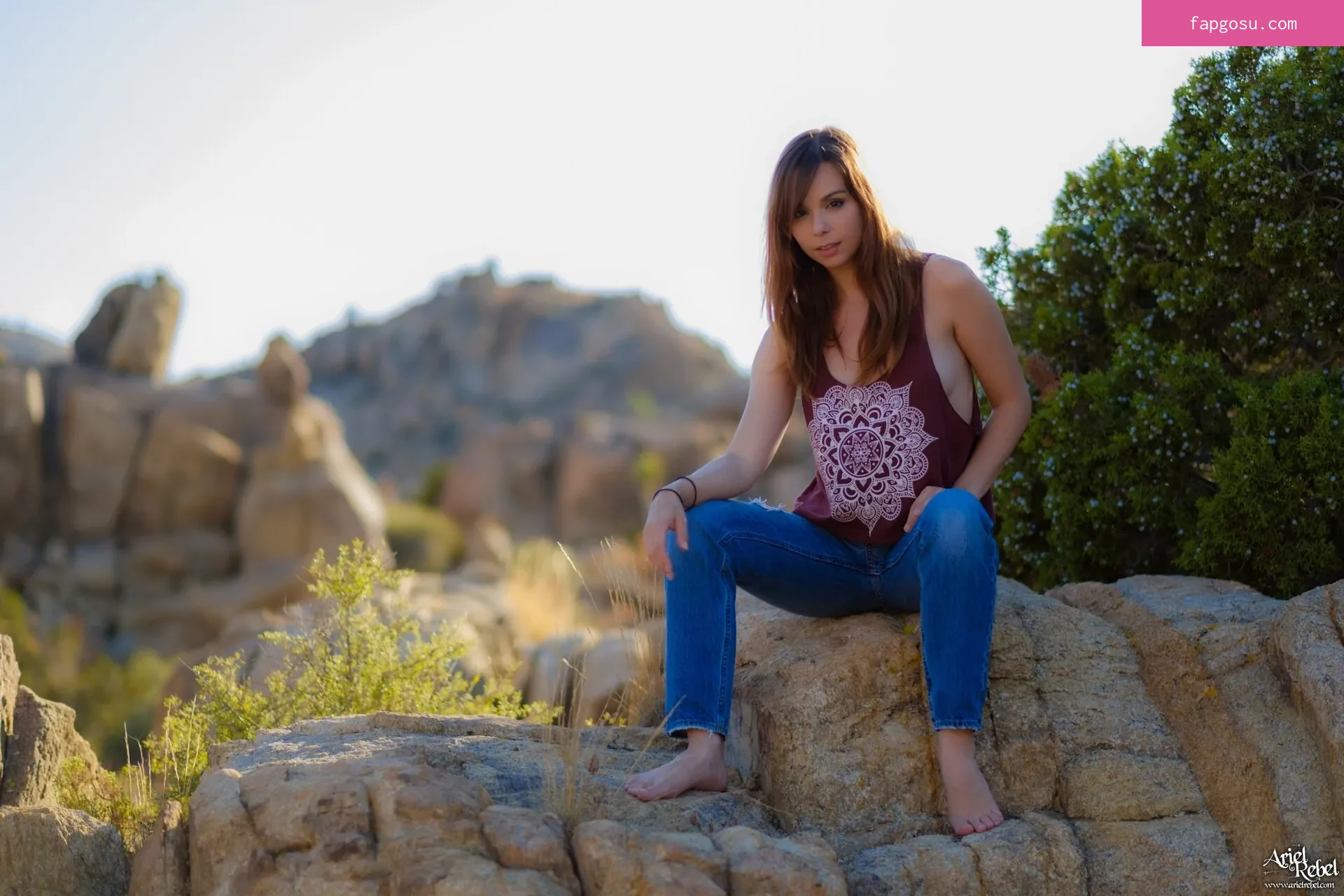 Ariel Rebel
