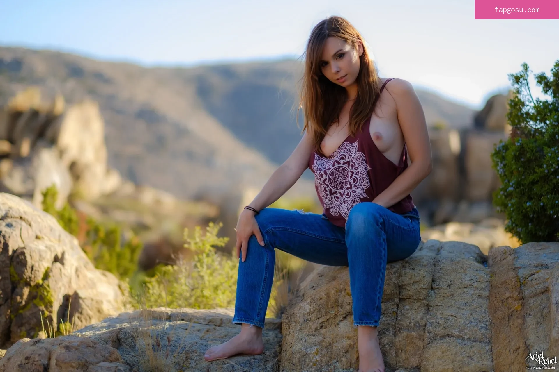 Ariel Rebel