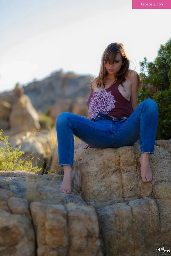 Ariel Rebel