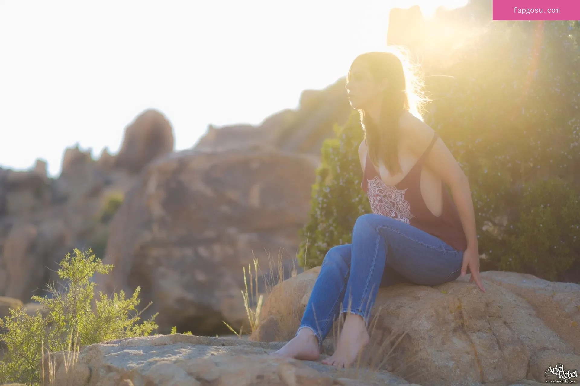 Ariel Rebel