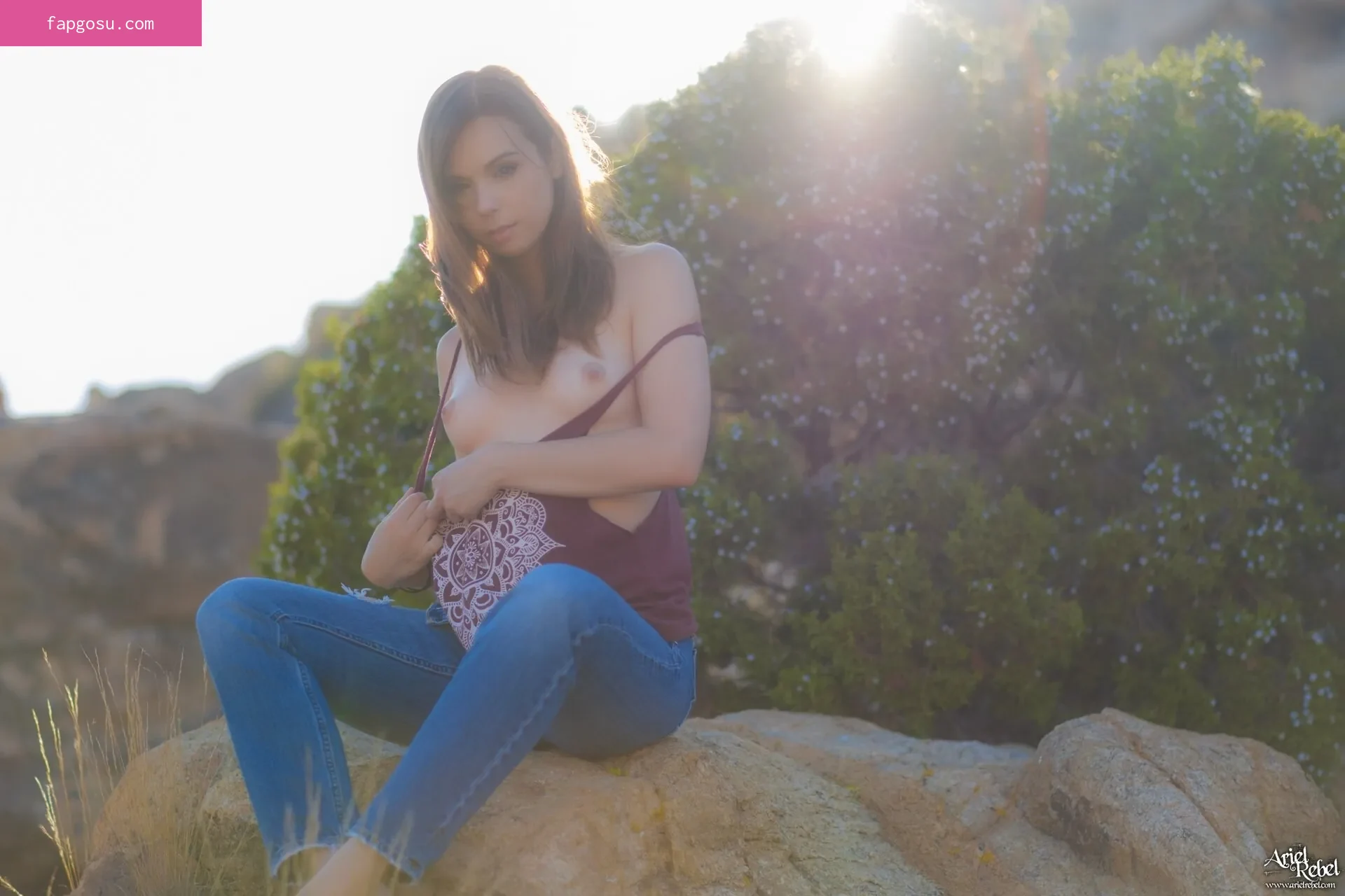 Ariel Rebel