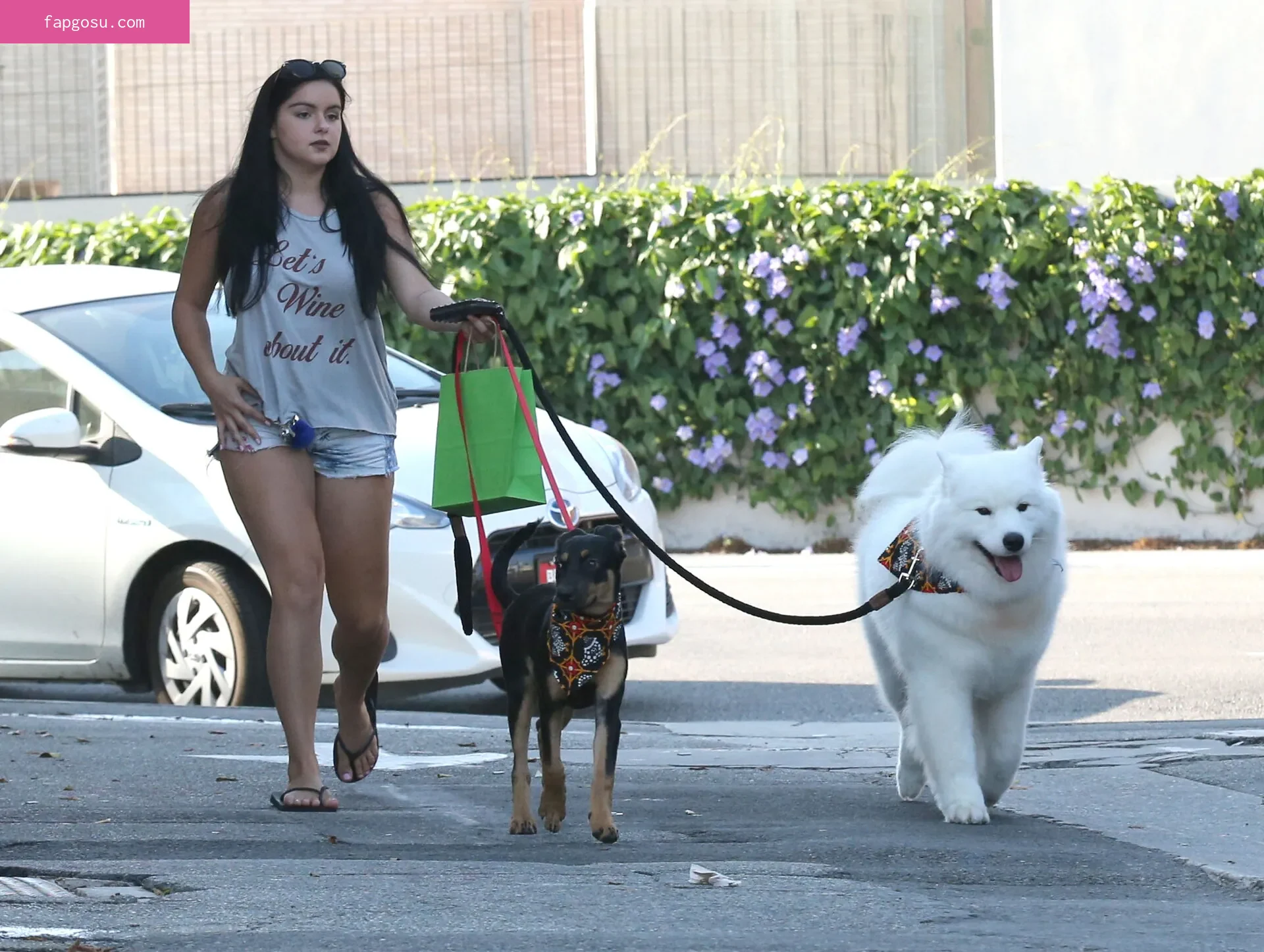 Ariel Winter