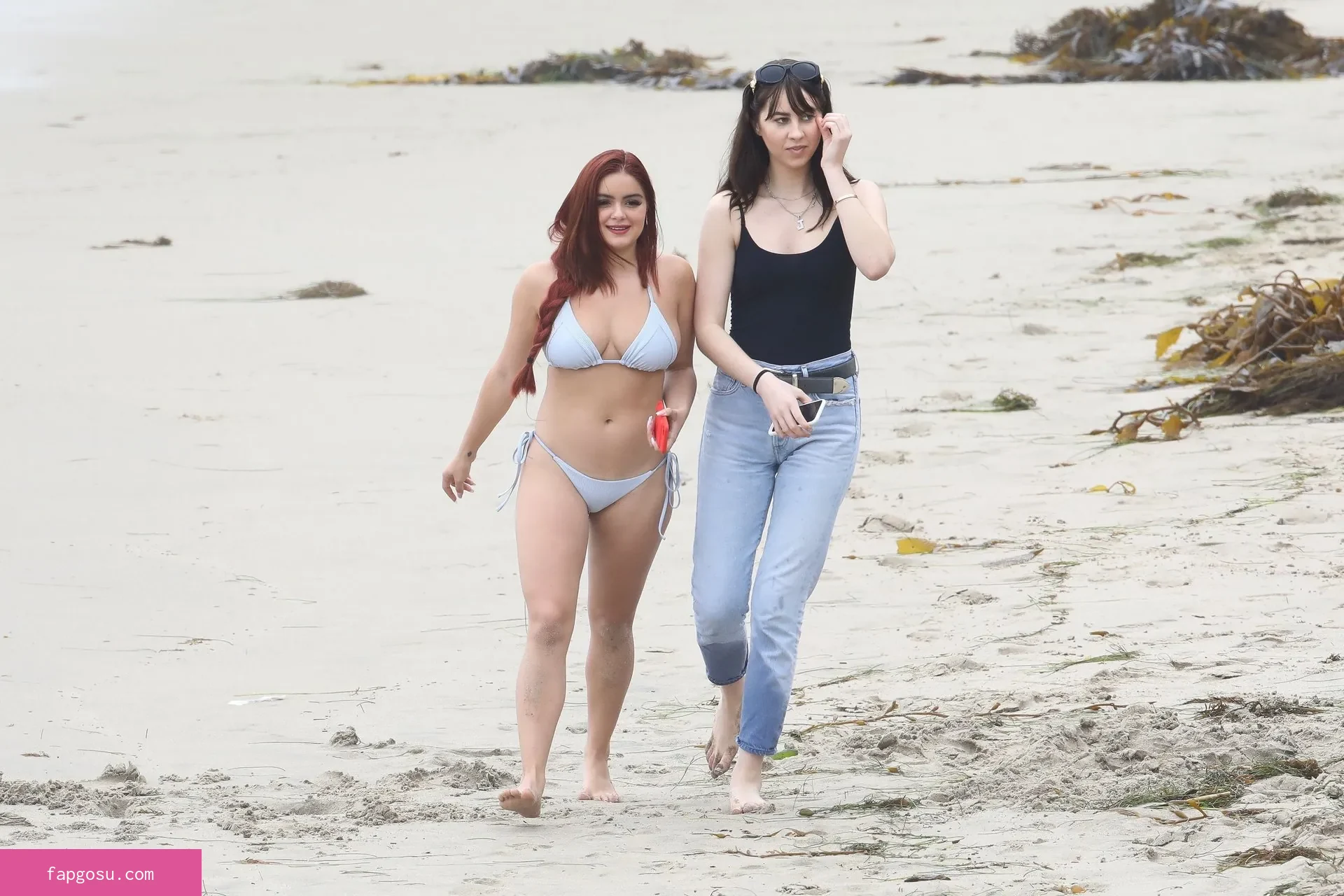 Ariel Winter