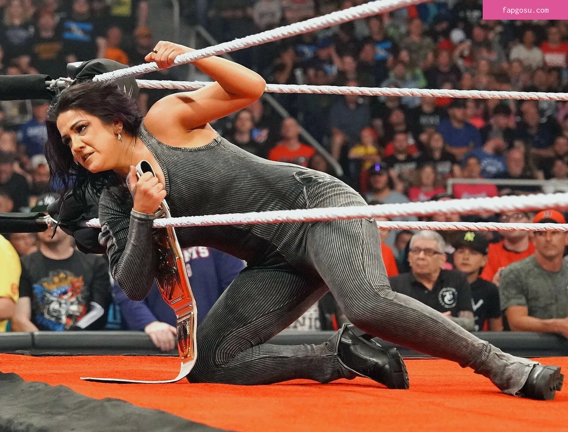 Bayley