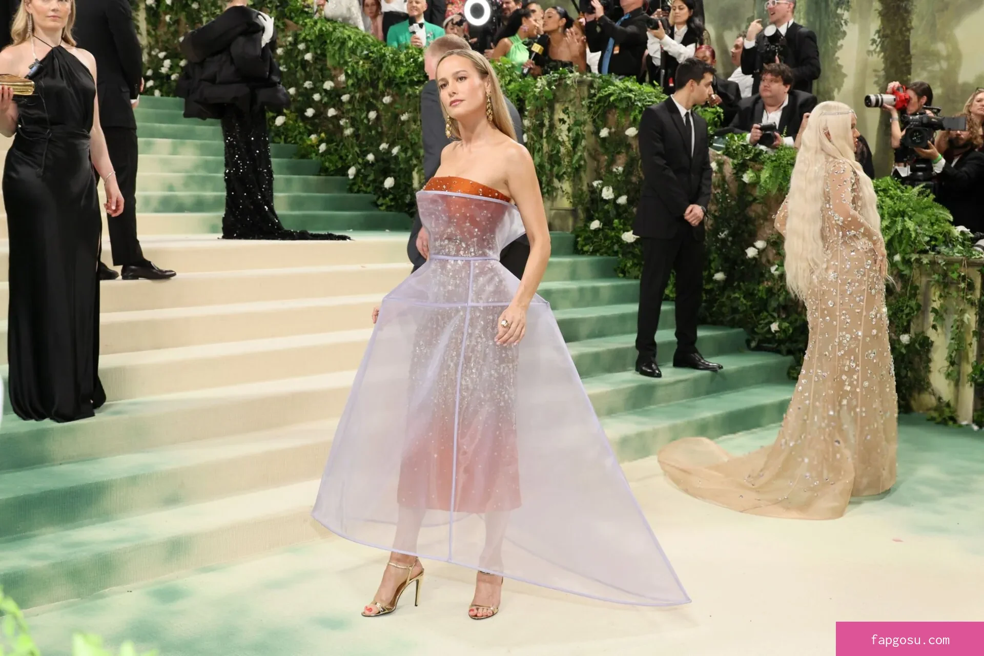 Brie Larson