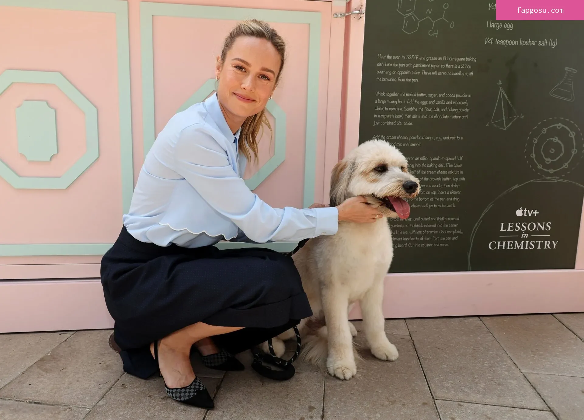 Brie Larson