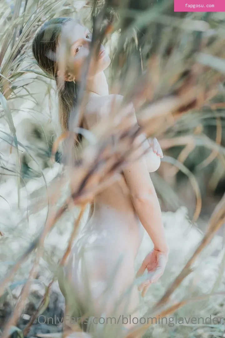 Chen Cohen