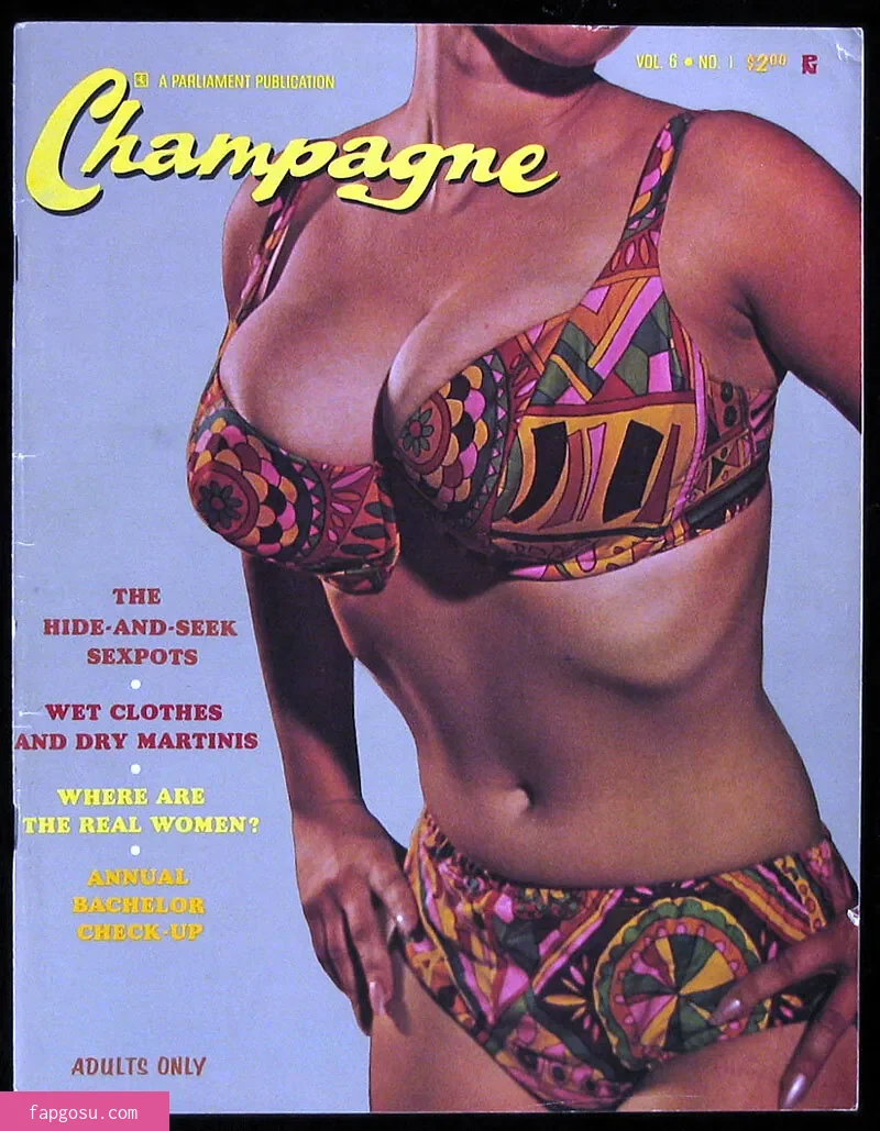 Classic Porn Magazines