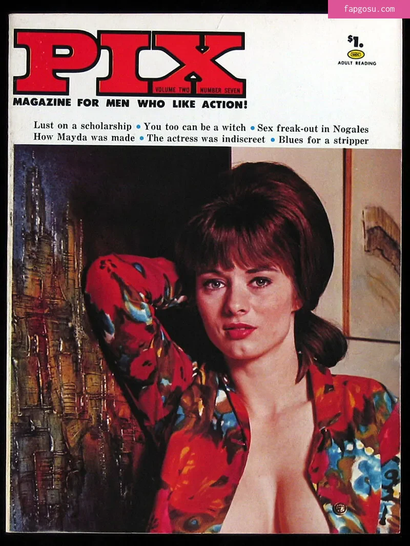 Classic Porn Magazines
