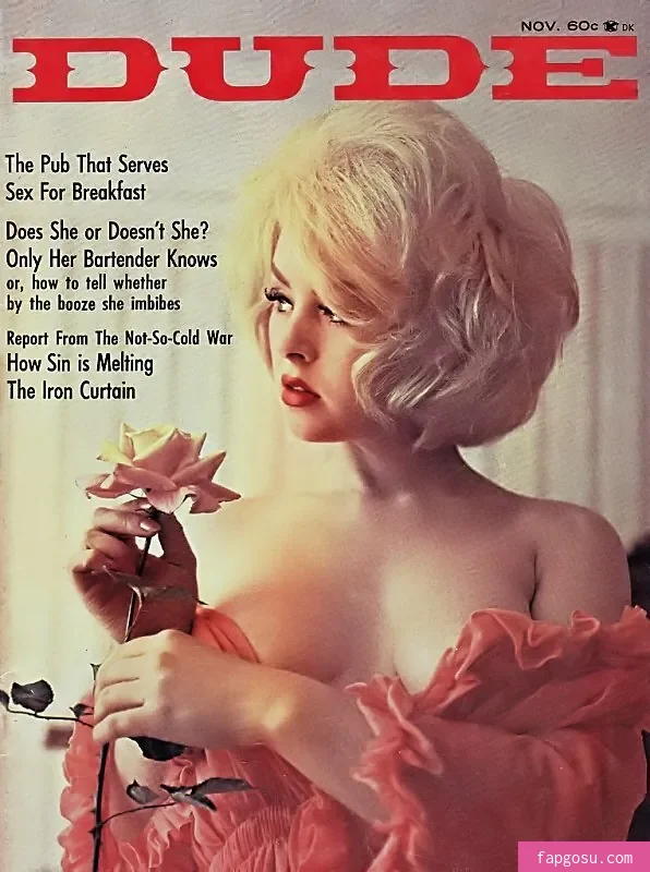 Classic Porn Magazines