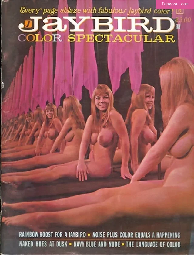 Classic Porn Magazines