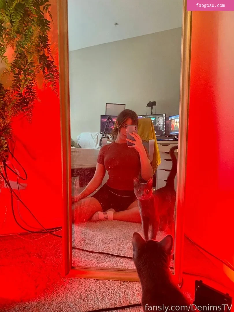 Denims