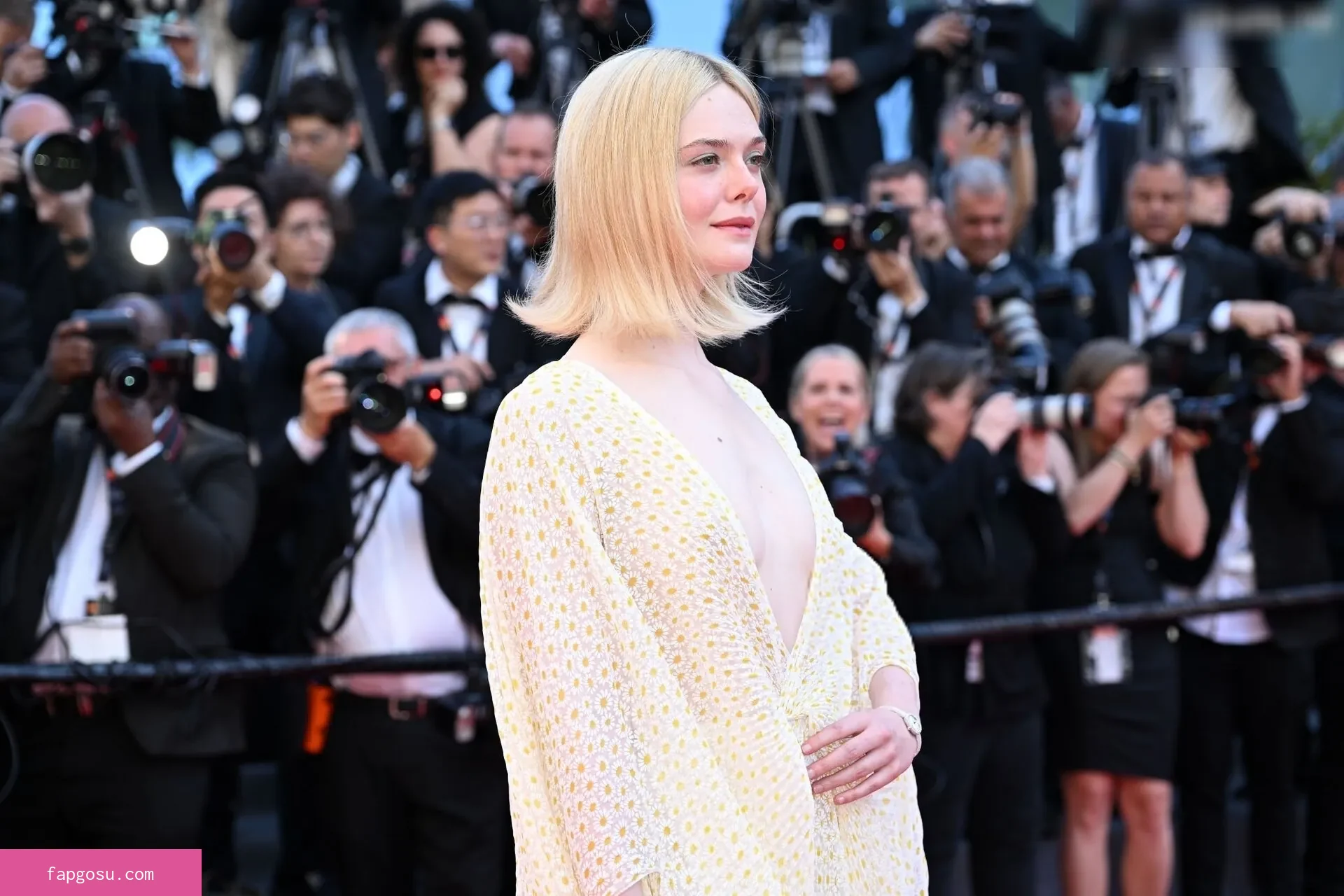 Elle Fanning
