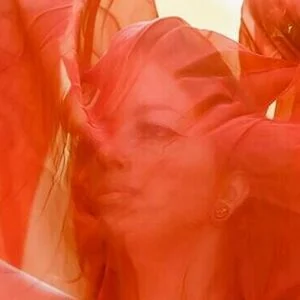 Fallenfaery
