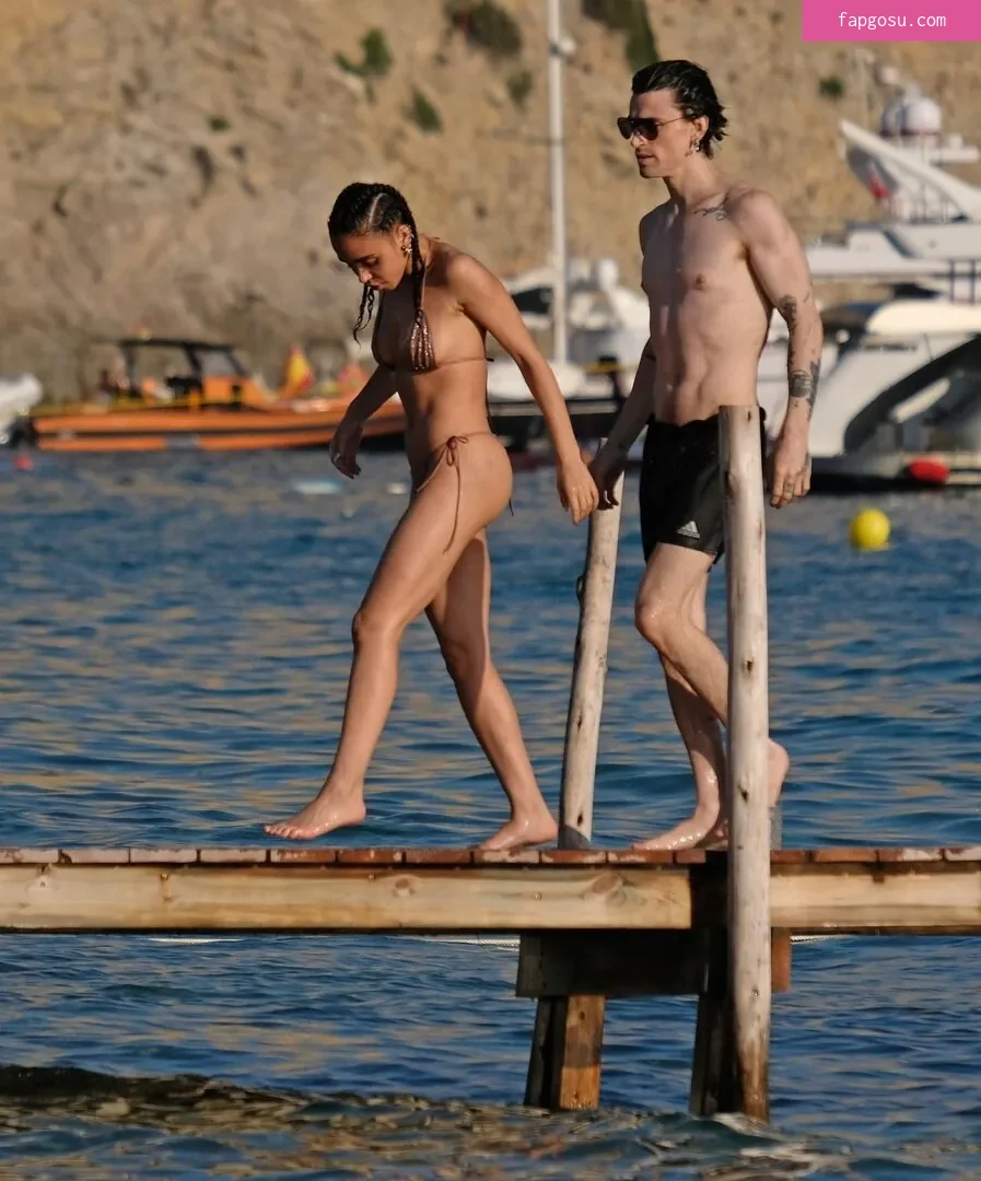 FKA Twigs