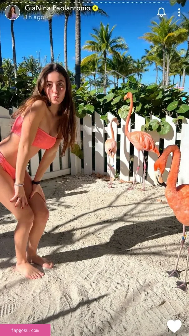 Gianina Paolantonio