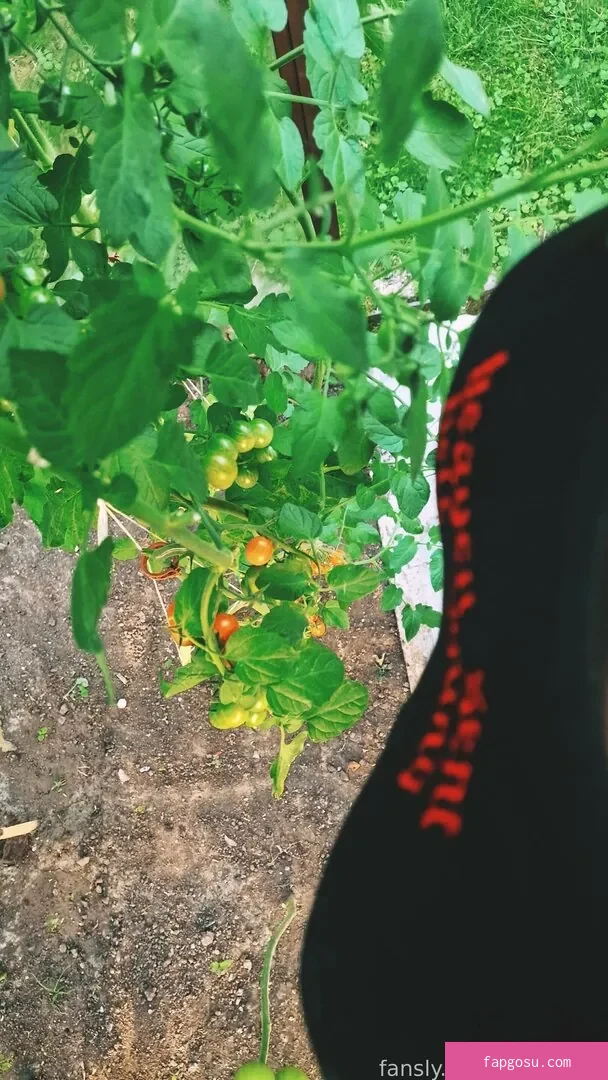 Grimoire