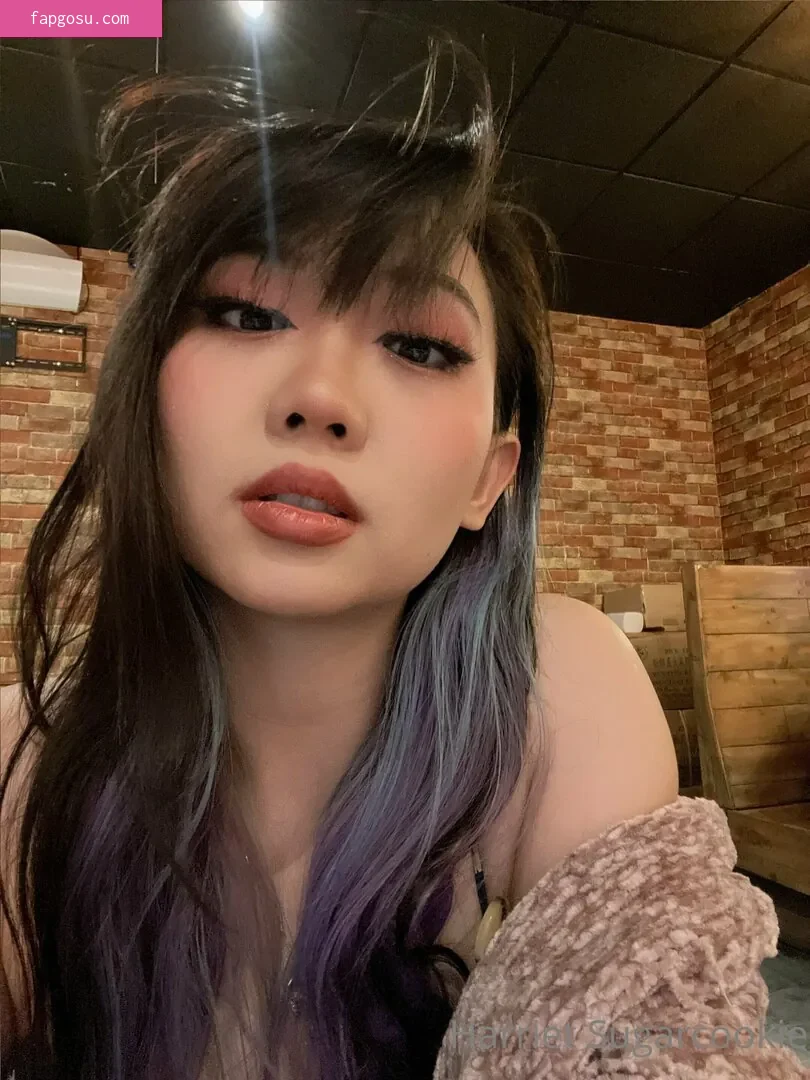 Harriet Sugarcookie