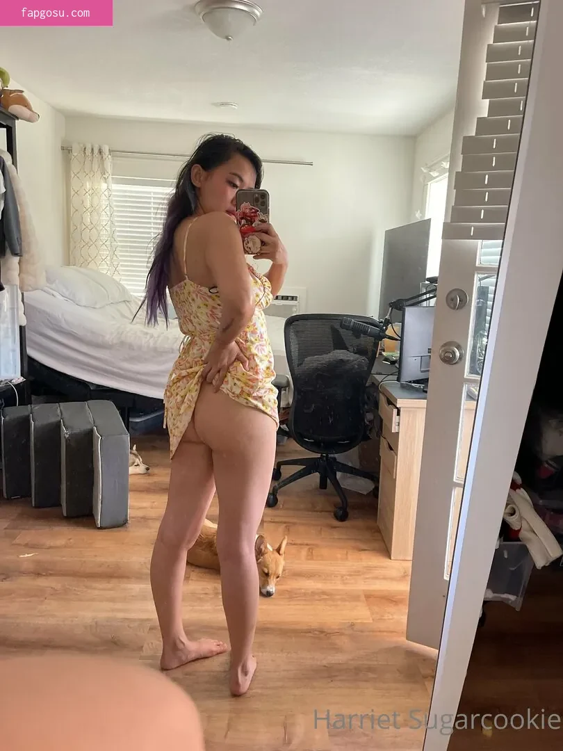 Harriet Sugarcookie