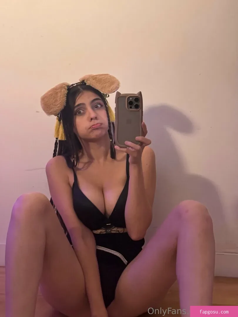 iaaras2