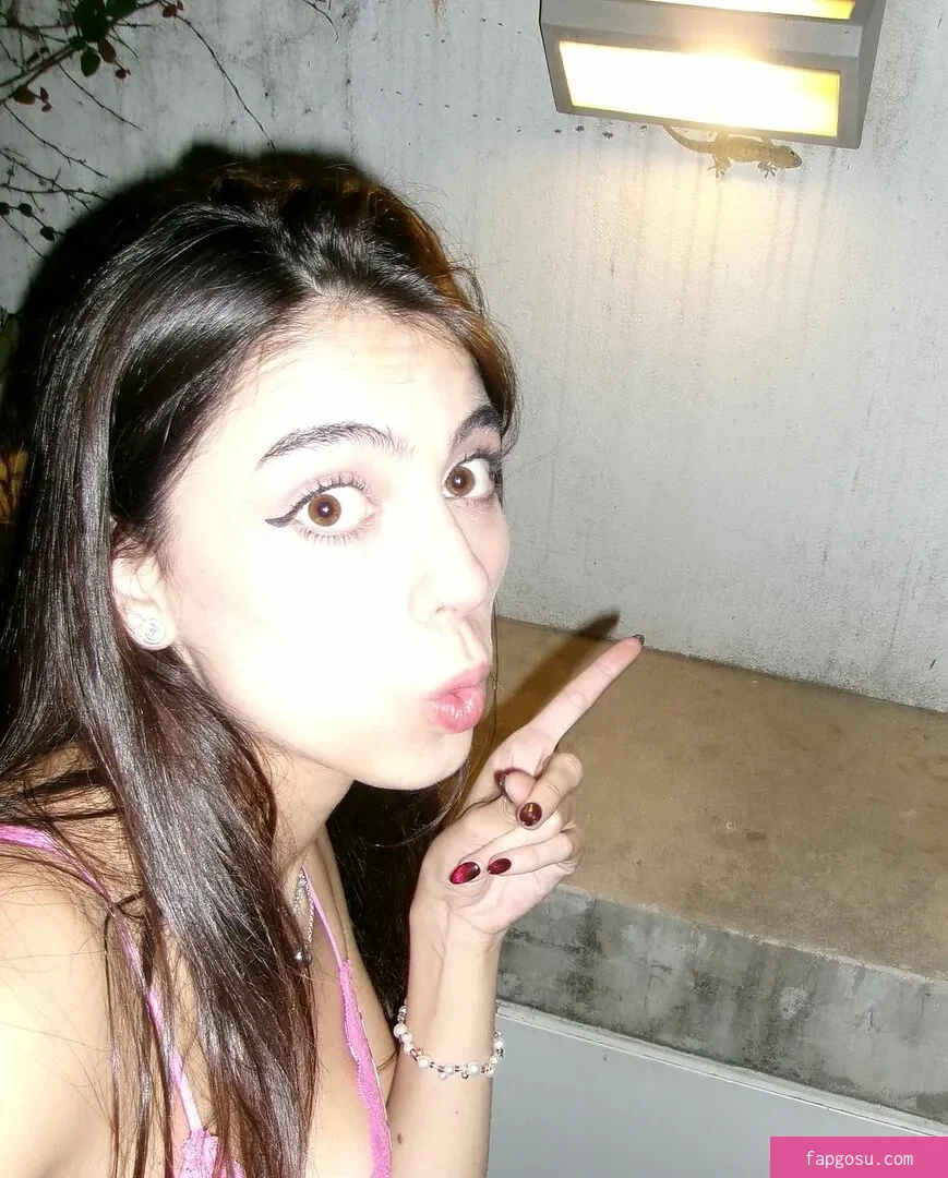 iaaras2