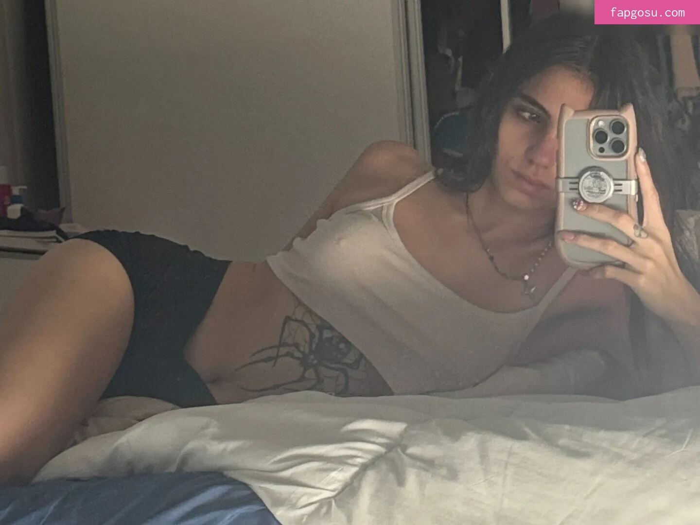 iaaras2