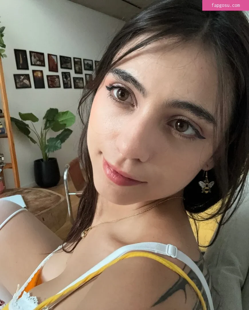 iaaras2