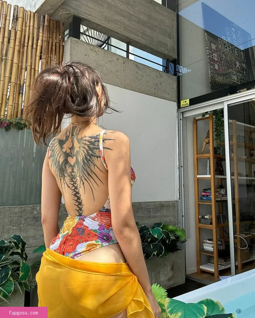 iaaras2