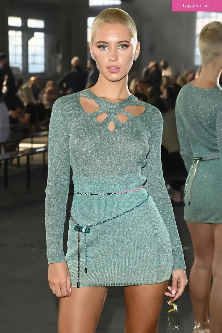 Iris Law