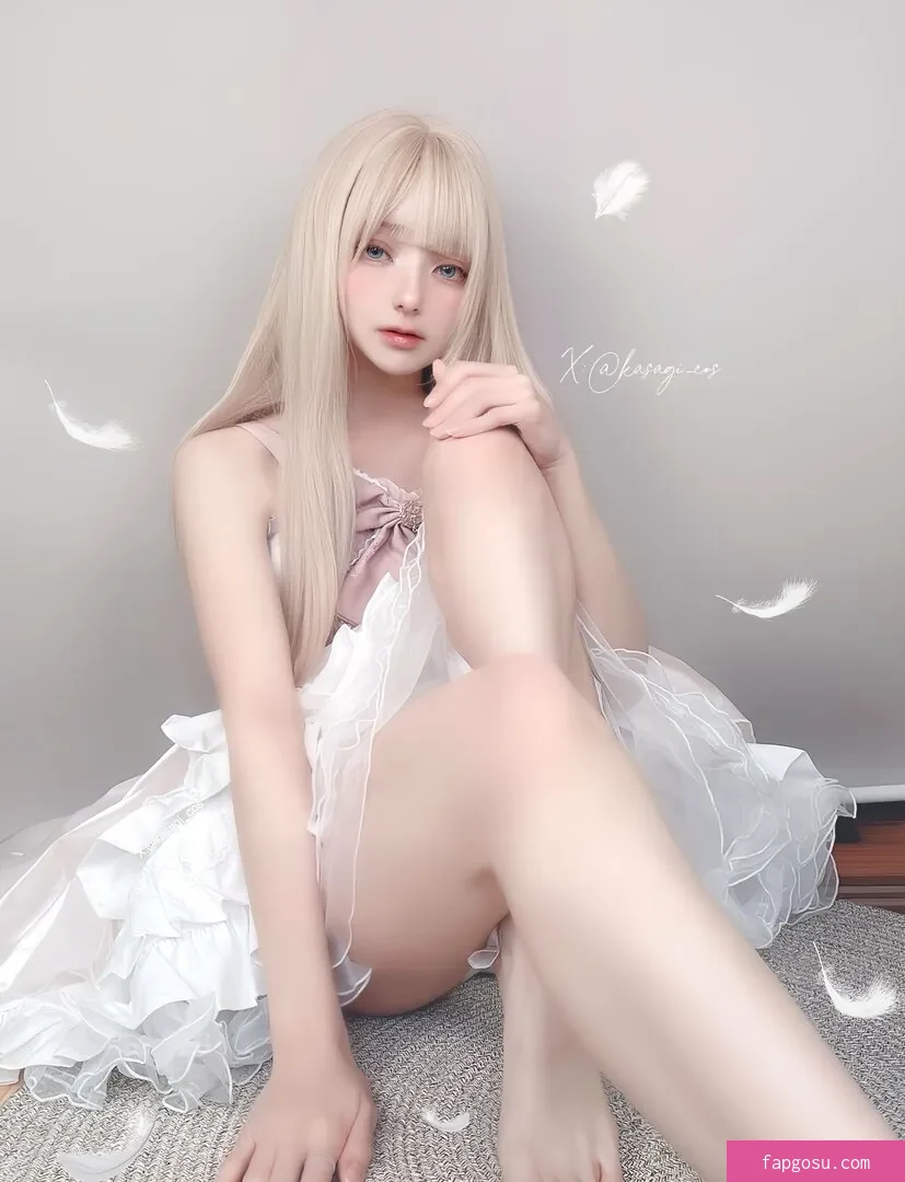 kasagi_cos