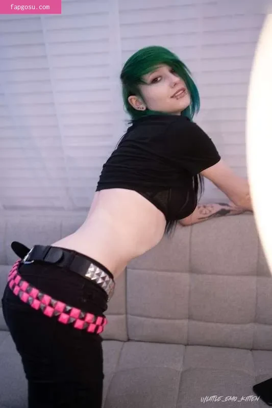 little_emo_kitten