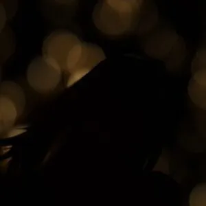 Lovita Fate content