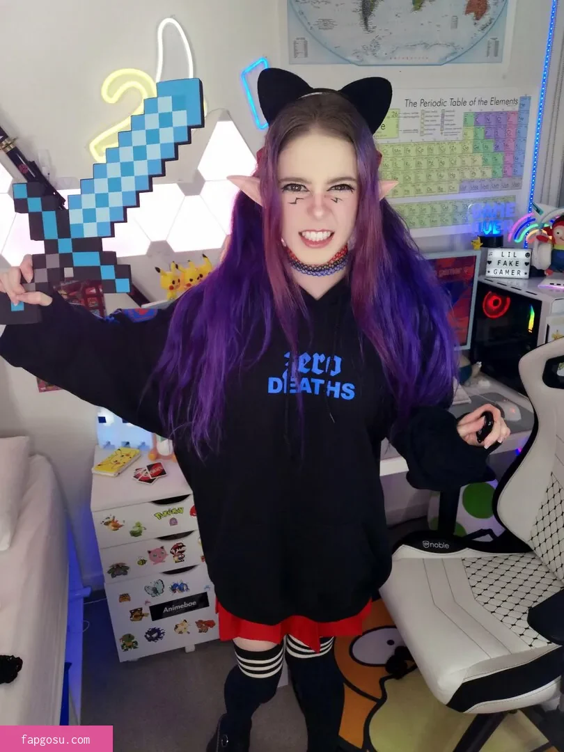 lilfakegamer
