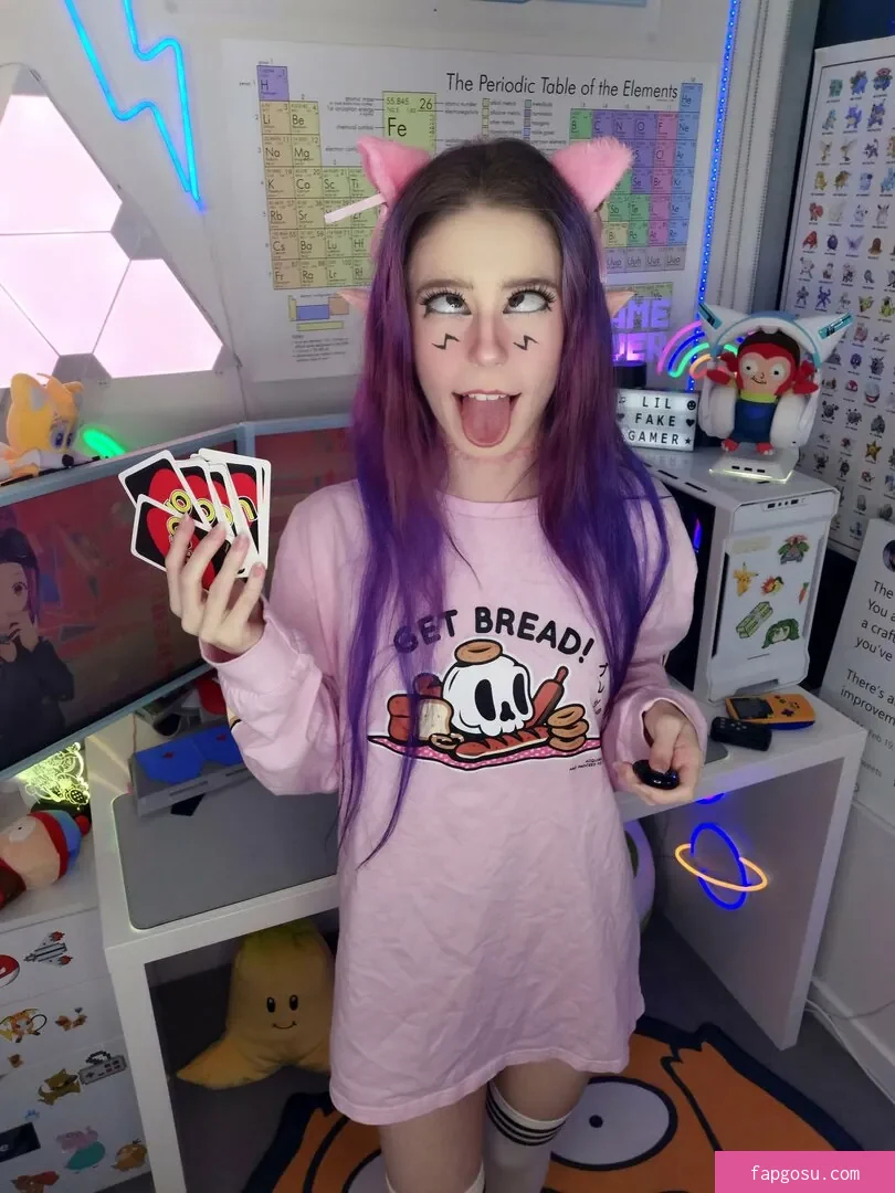 lilfakegamer