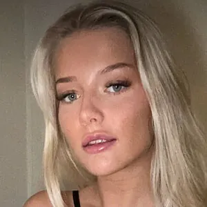 Majavipx