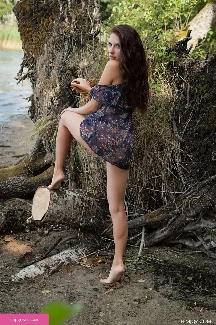 Niemira