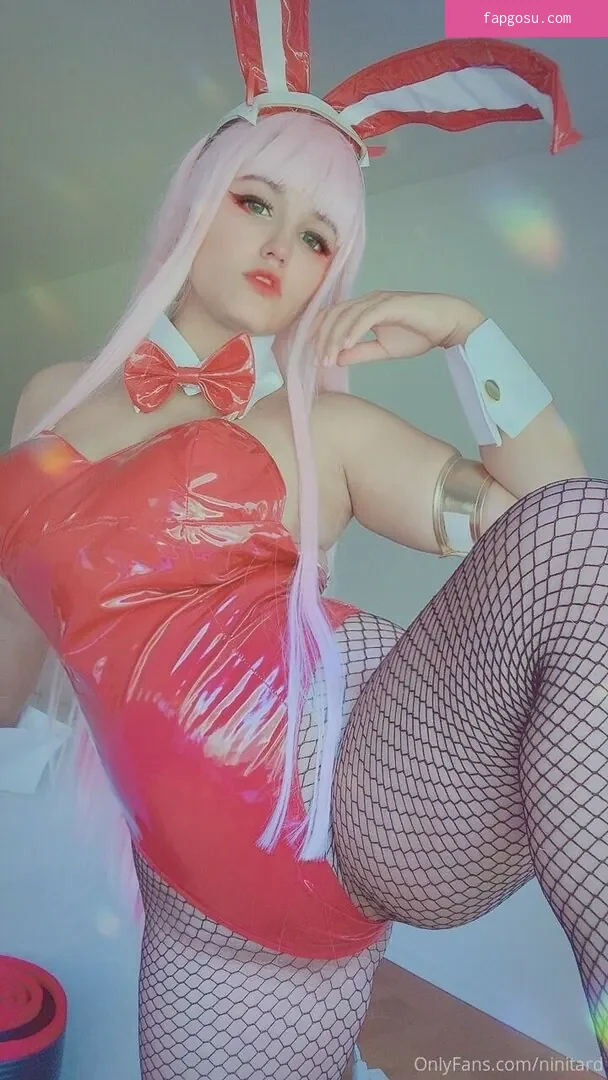 niniitard
