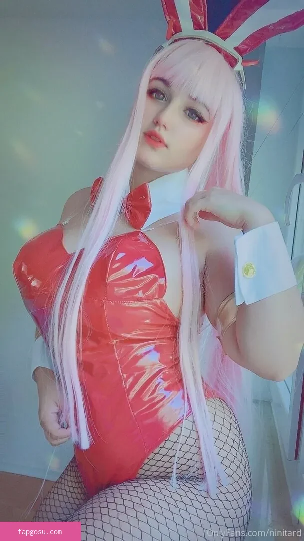 niniitard