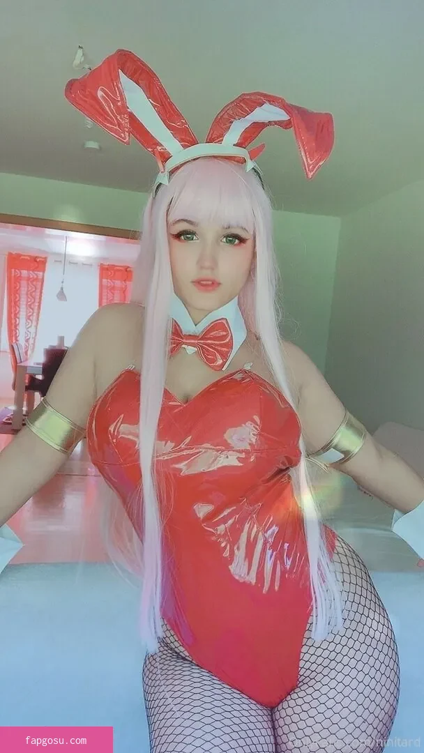 niniitard
