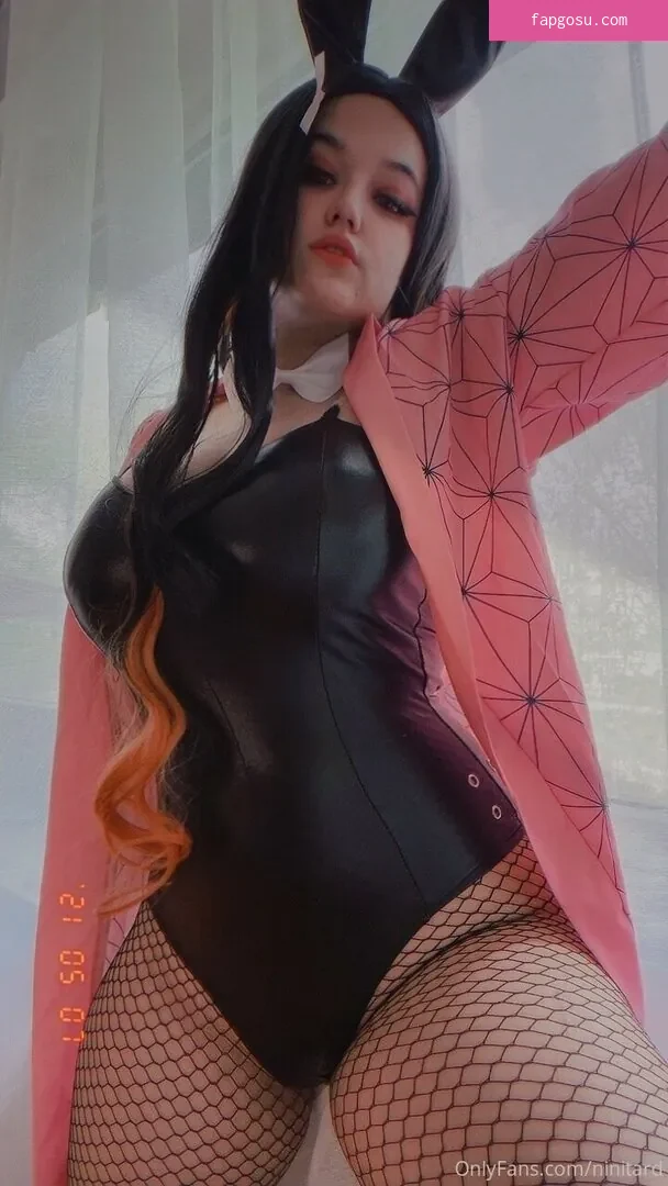 niniitard