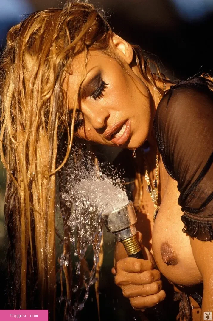 Pamela Anderson