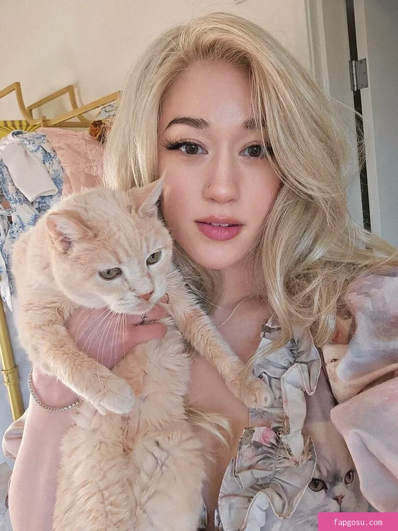 QueenTofu