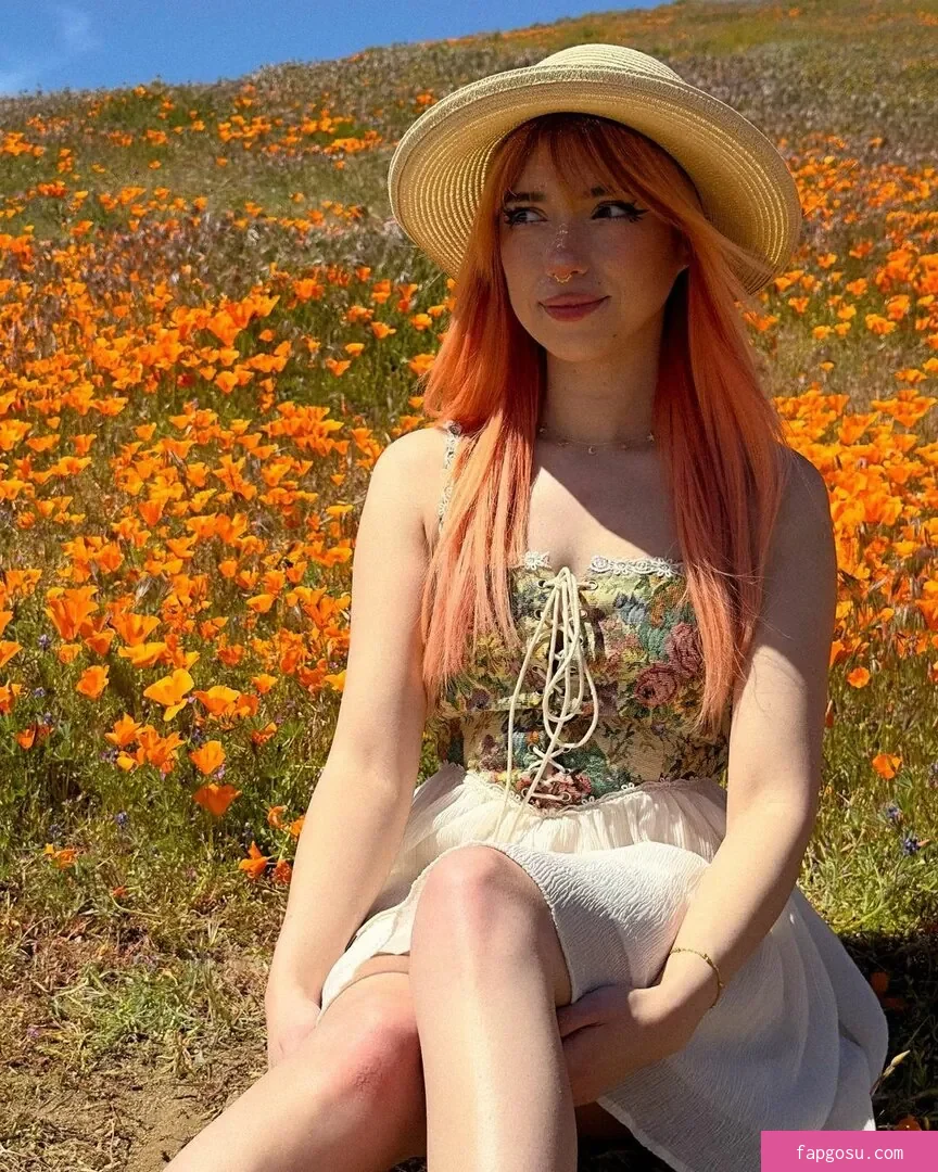 shelbygraces
