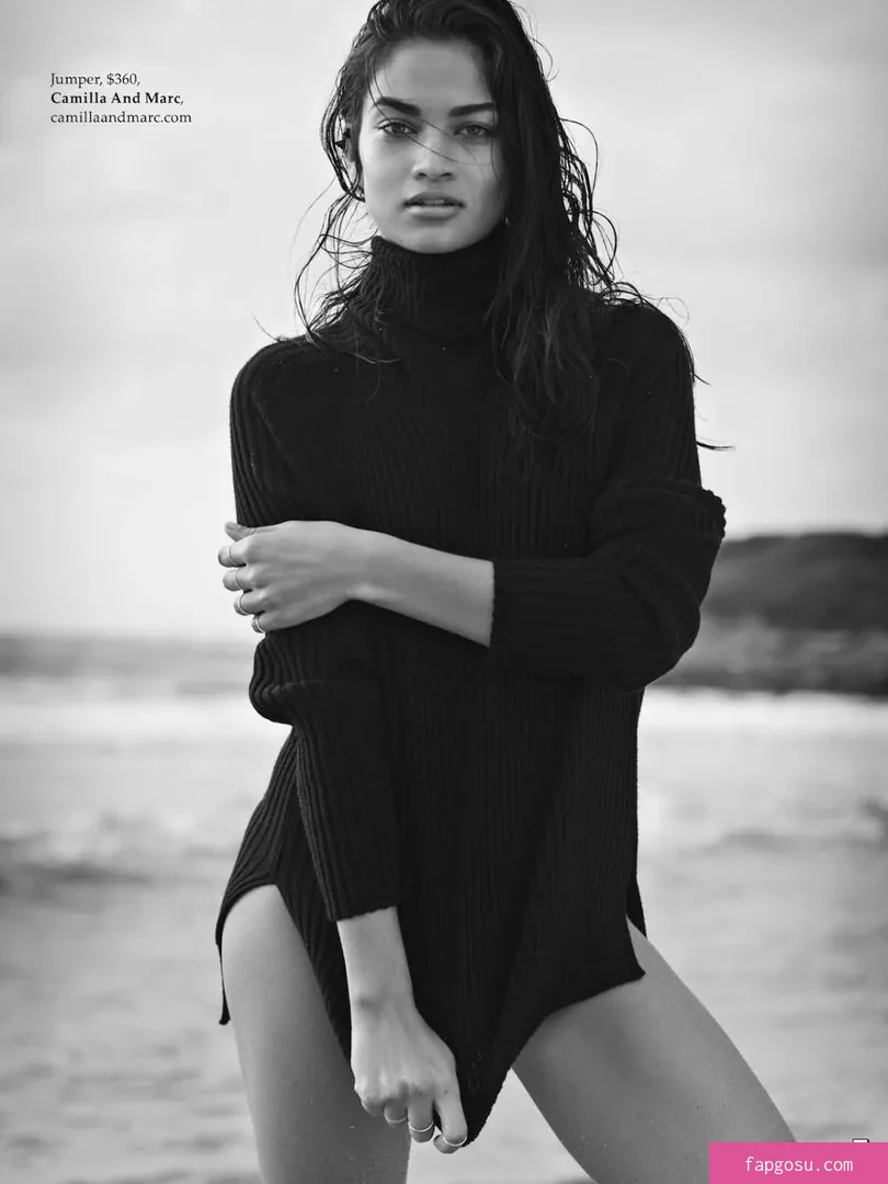Shanina Shaik