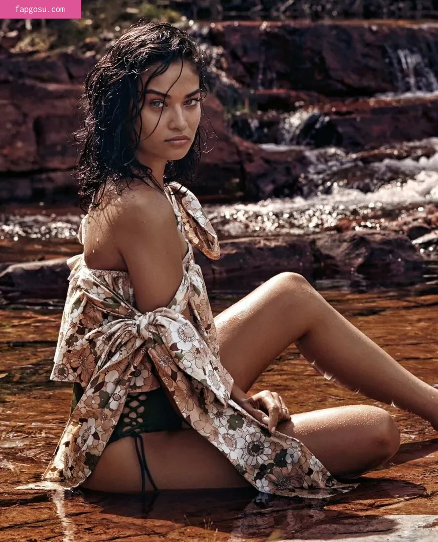 Shanina Shaik