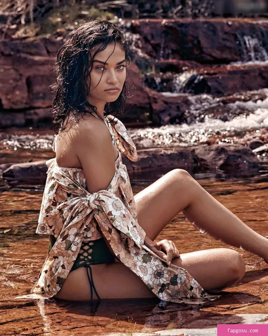 Shanina Shaik